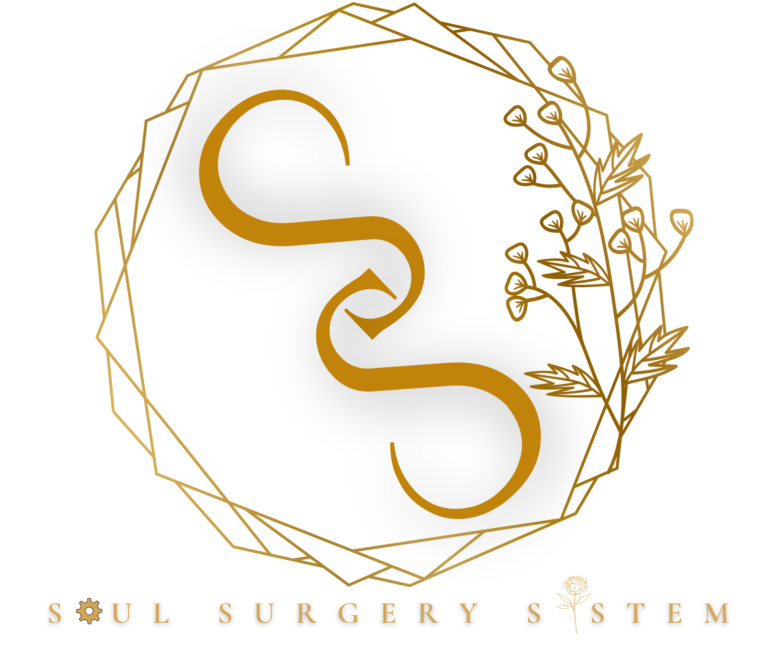 https://soulsurgerysystem.com/wp-content/uploads/2025/02/cropped-Final-Logo.png